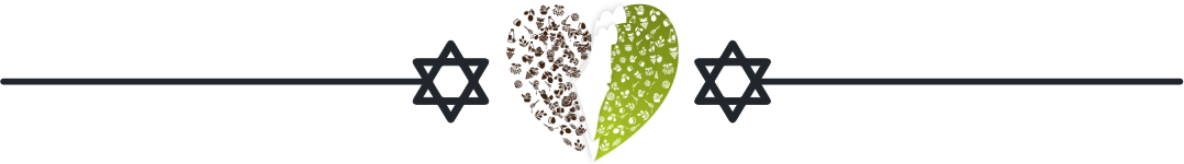 Lev HaOlam separator logo