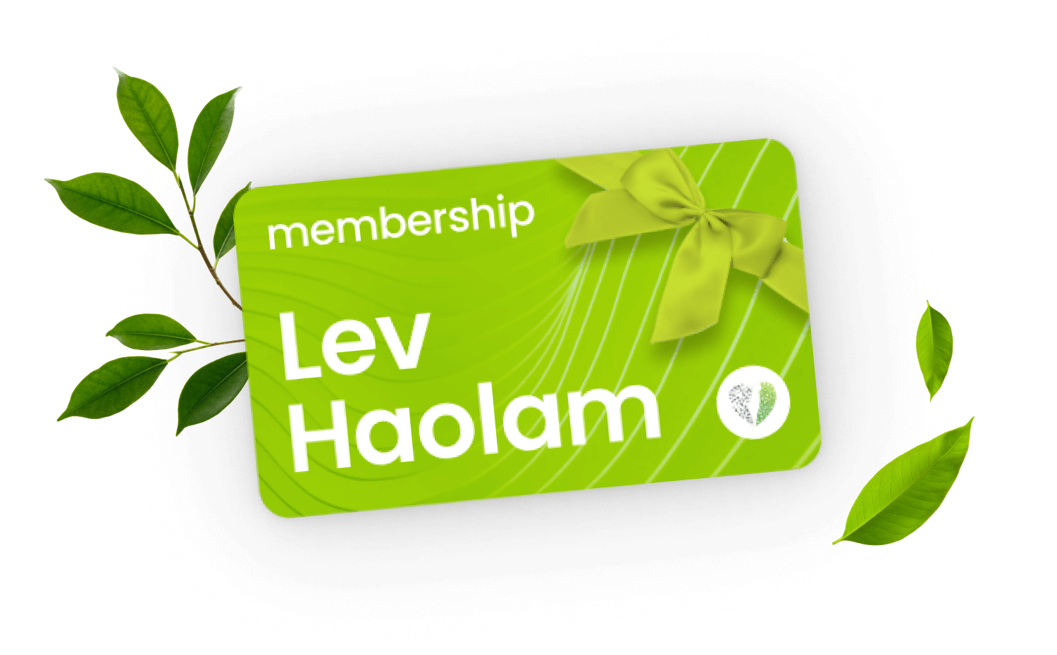 Membership WITHOUT a Monthly Box